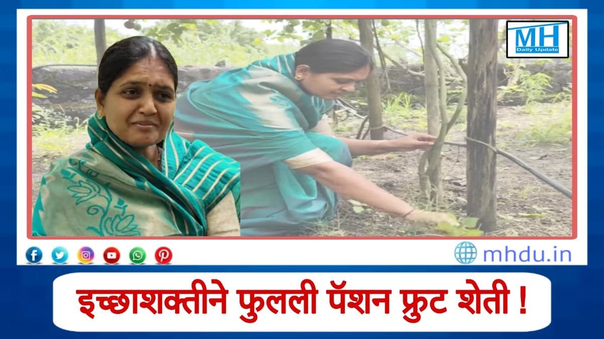 Passion fruit farming success Nashik by Vijayashri Chumbale