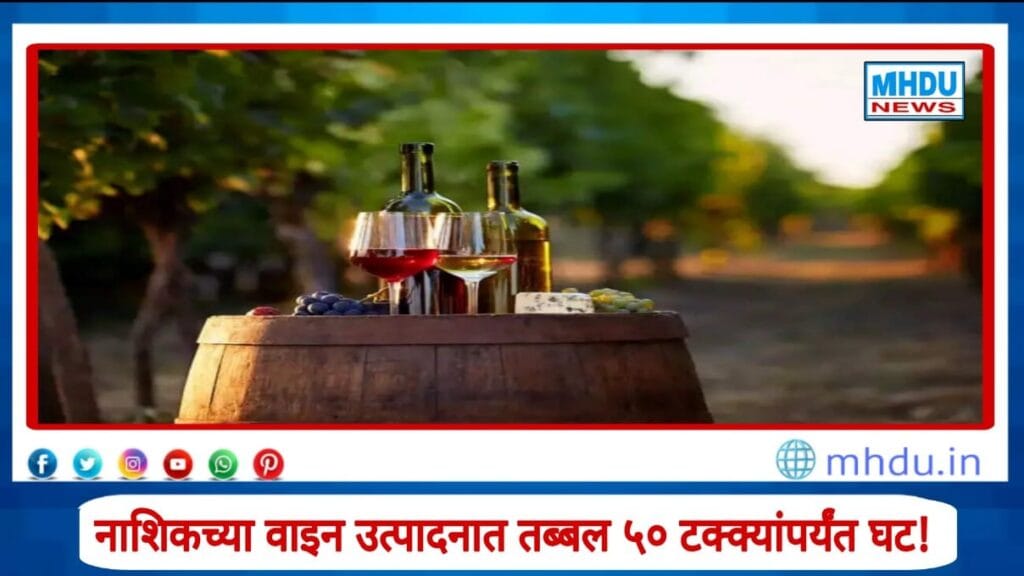 Nashik Wine Production Drop 2025