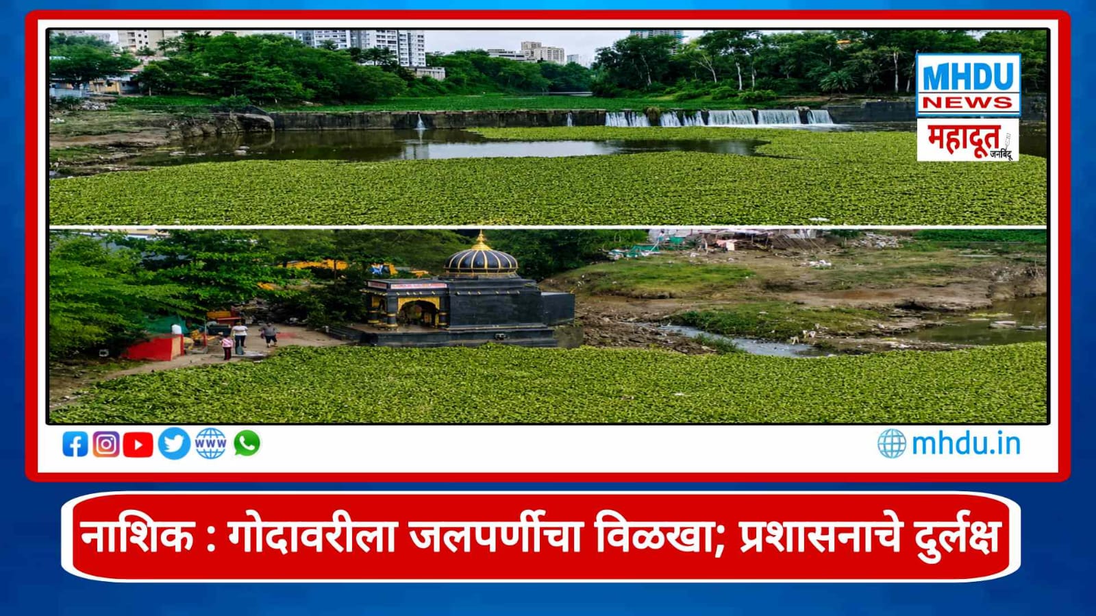 Godavari River Water Hyacinth Nashik